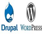 CMS drupal and wordpress ouattara yssouf ouattdev.com